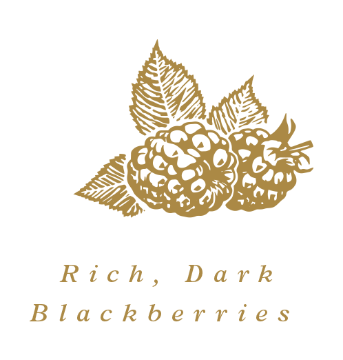 Rich, Dark Blackberries